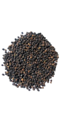 Black pepper PNG-24269